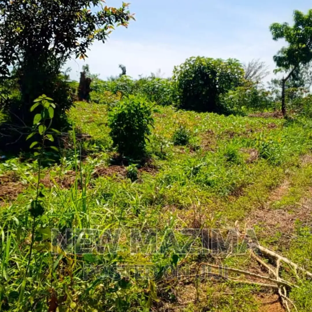 Affordable Private Mile Land Titled Plot Onsale Matuga Gombe