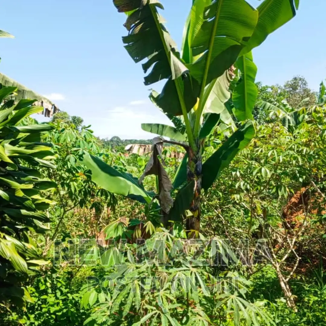 Affordable Private Mile Land Titled Plot Onsale Matuga Gombe