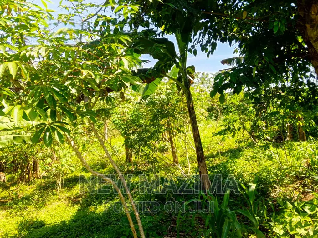 Affordable Private Mile Land Titled Plot Onsale Matuga Gombe
