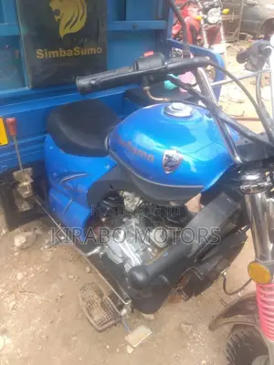 New Tricycle 2023 Blue