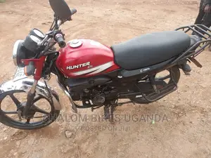Hunter Cruiser 250cc 2021 Red