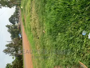 Commercial Land at Nakwero Town on Market