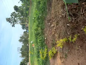 Commercial Land at Nakwero Town on Market