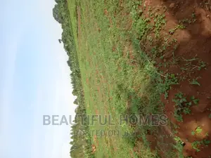 Gayaza View Plots on Sale