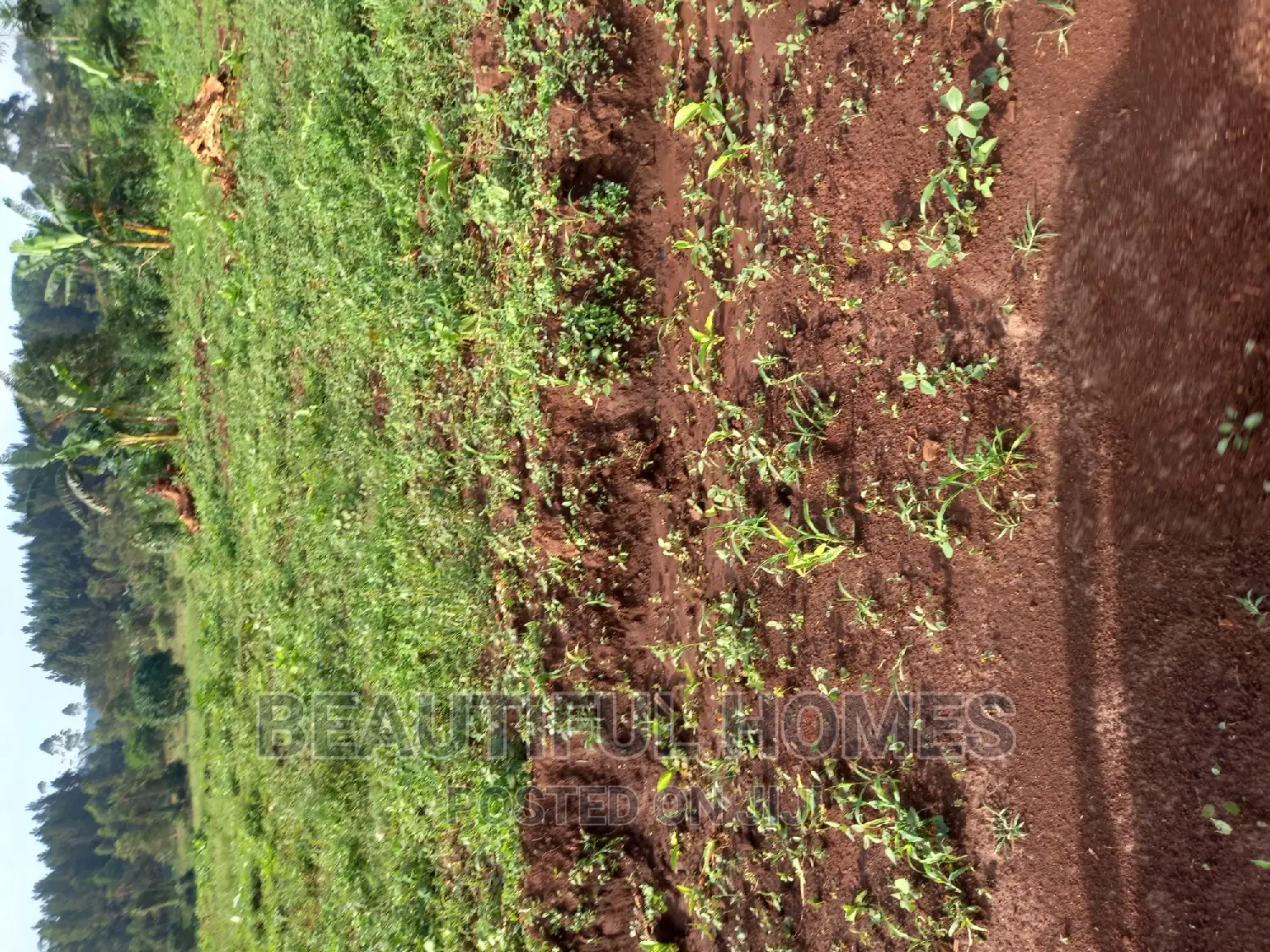 Gayaza Affordable Plots for Sell