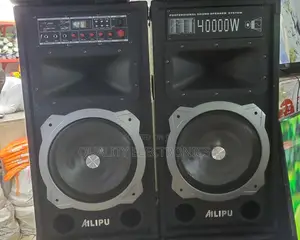 Ailipu Speaker 9031 40000w
