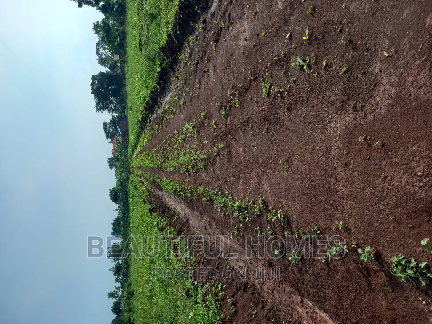Gayaza Nakasajja Land on Sale