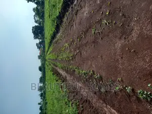 Gayaza Nakasajja Land on Sale