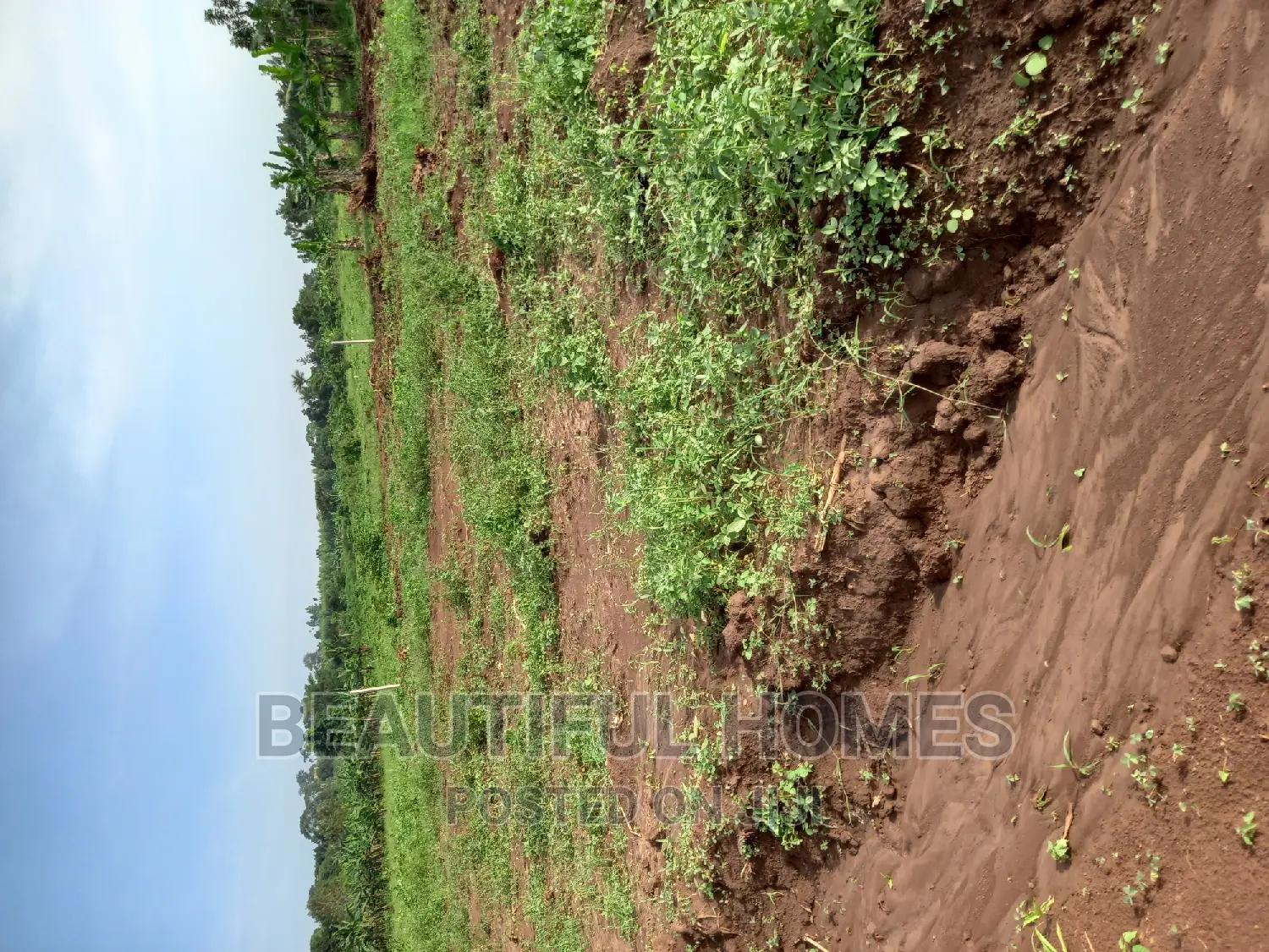 Gayaza Nakasajja Residential Use Land on Sell