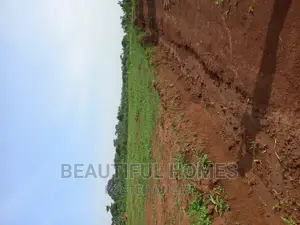 Gayaza Nakasajja Great Offers on These Plots