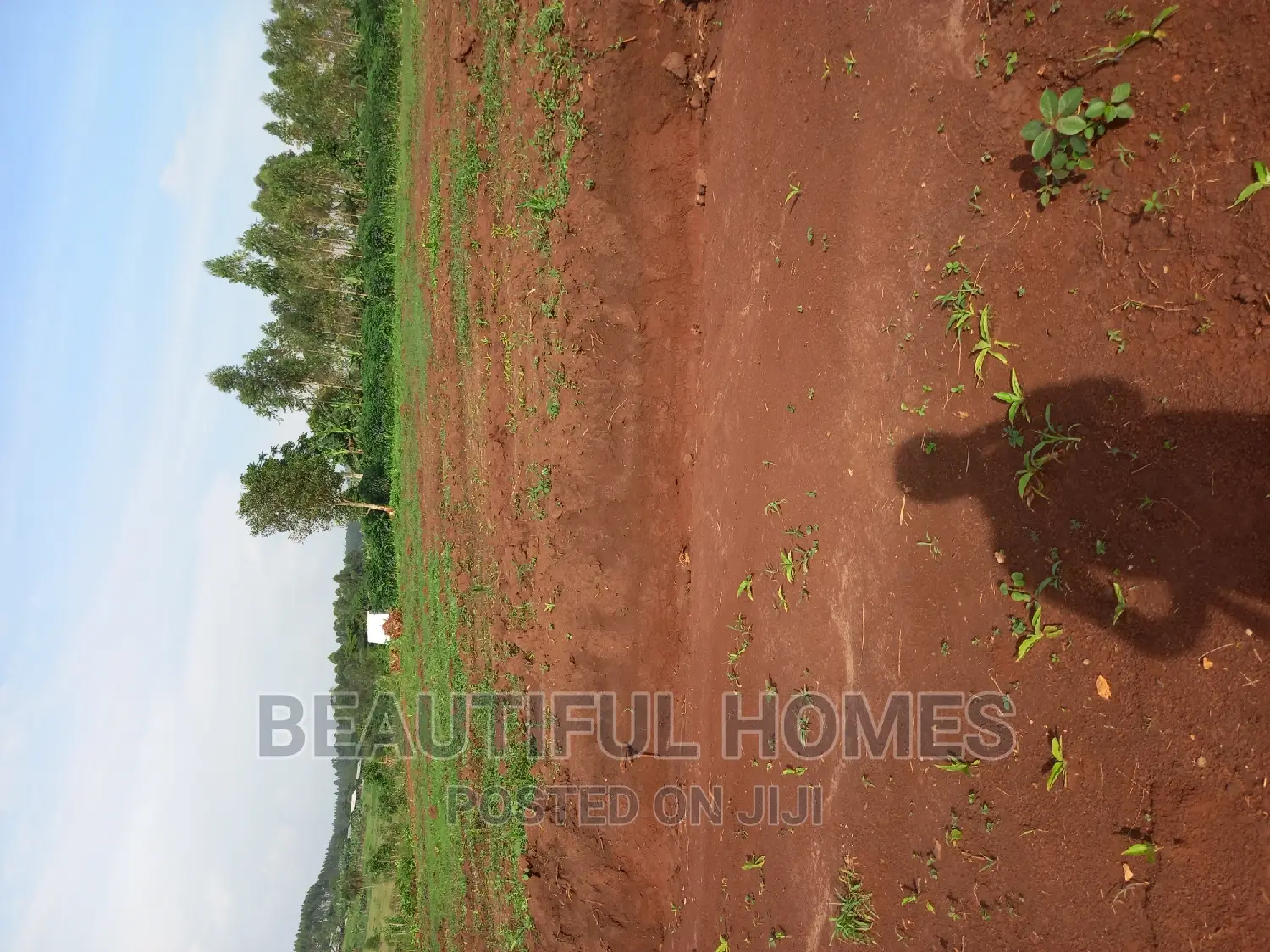 Gayaza Nakasajja Great Offers on These Plots