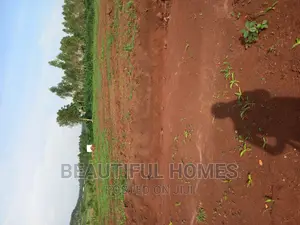 Gayaza Nakasajja Great Offers on These Plots