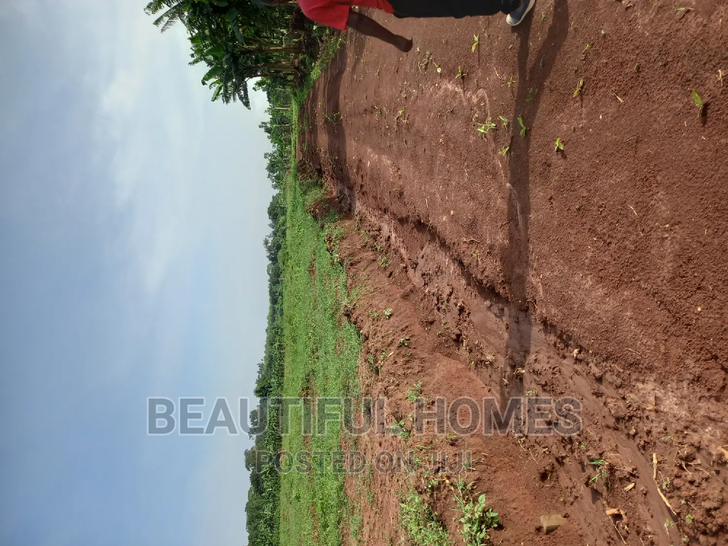 Gayaza Nakasajja Estate Plots for Quicksell