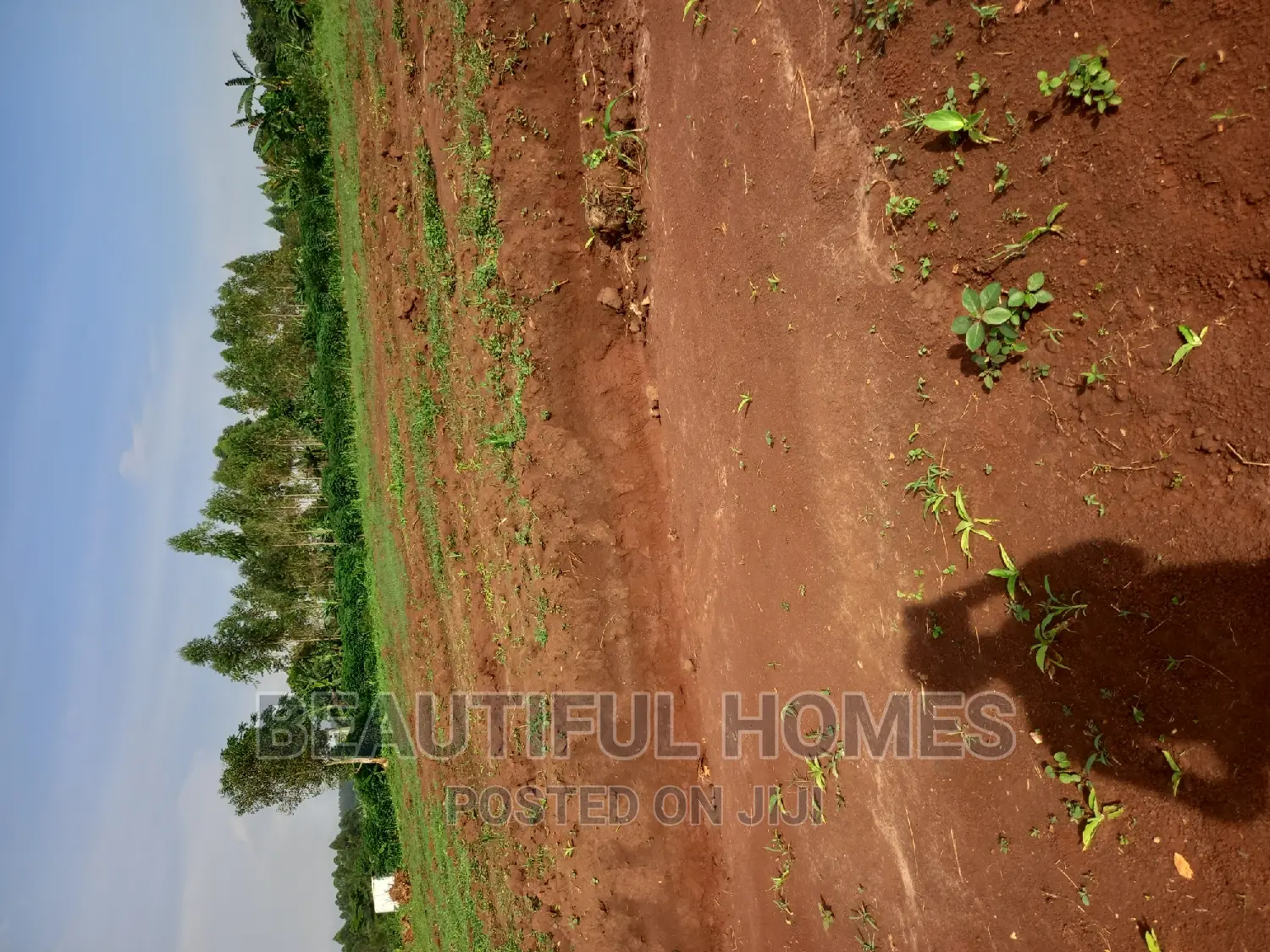 Gayaza Nakasajja Estate Plots for Quicksell