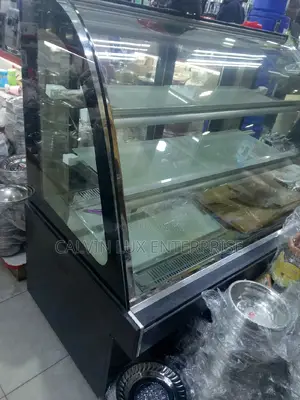 Electric Display Warmer