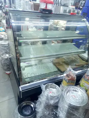 Electric Display Warmer
