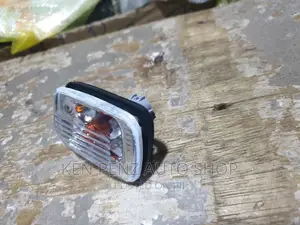 Tx Prado Fender Lights