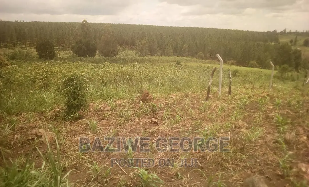 An Acre Bordering the Oil Refinery and Airport