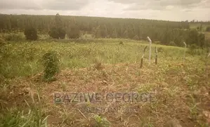 An Acre Bordering the Oil Refinery and Airport