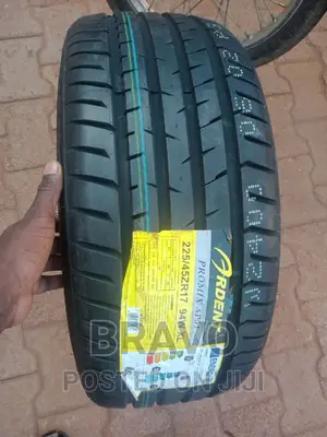 225/45r17 Promix Ap01