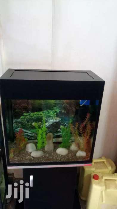 Aquarium