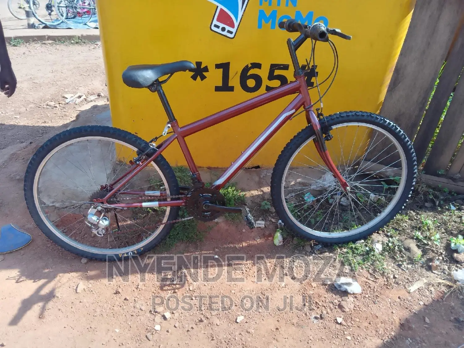 Coastrunner Adult Bike