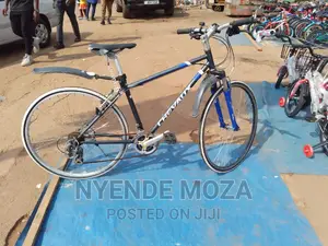Chevaux Sports Bicycle
