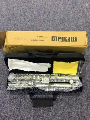 Original Professional Silver Flute With Hard Case and Gloves