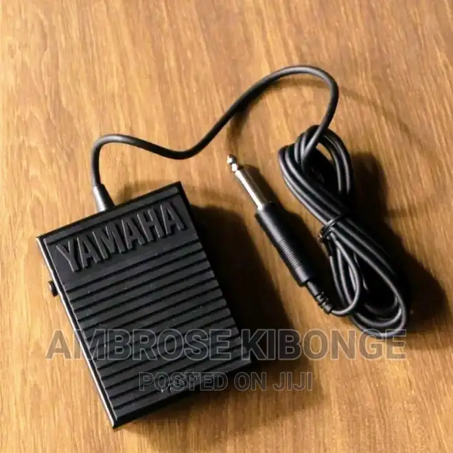 Medium Size Portable Piano and Keyboard Sustain Foot Pedal.