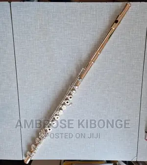 Original Professional Silver Flute With Hard Case and Gloves