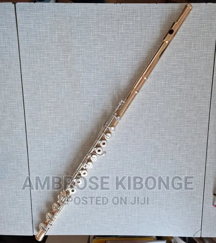 Original Professional Silver Flute With Hard Case and Gloves