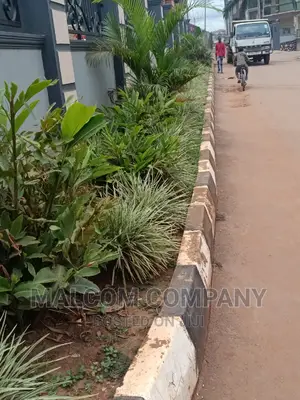 Compound Gardening With Flowers