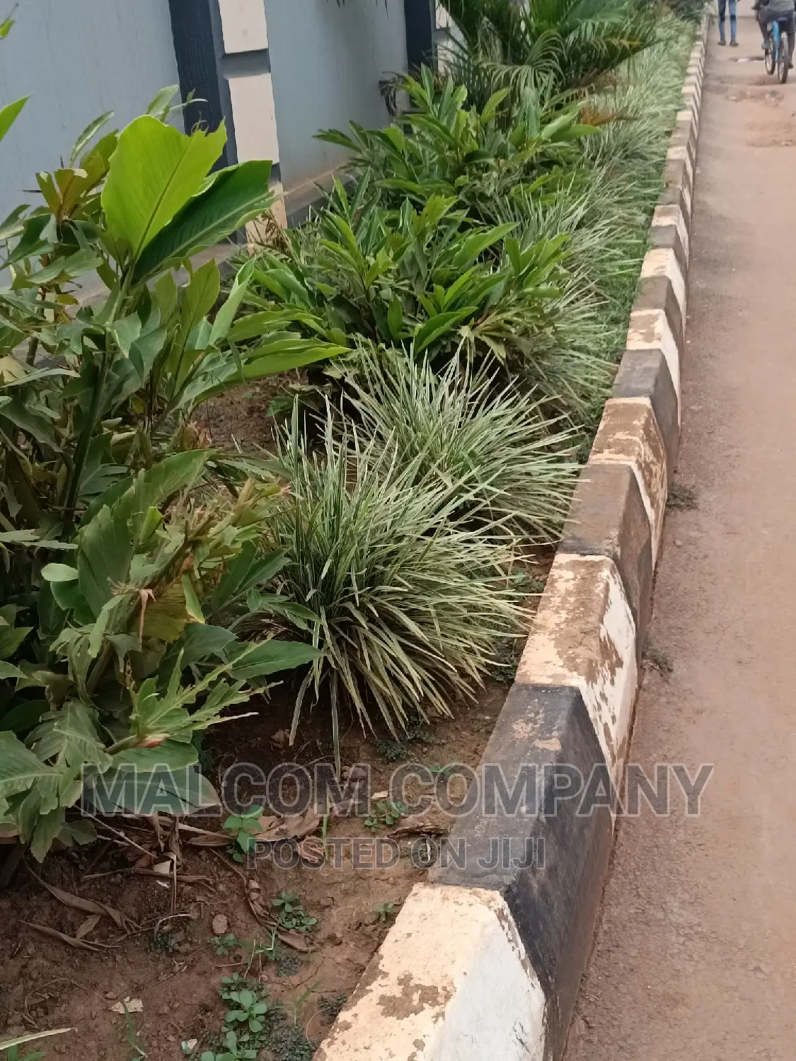 Compound Gardening With Flowers