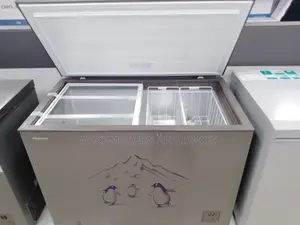 Ice Deep Freezer 400L