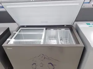 Ice Deep Freezer 400L