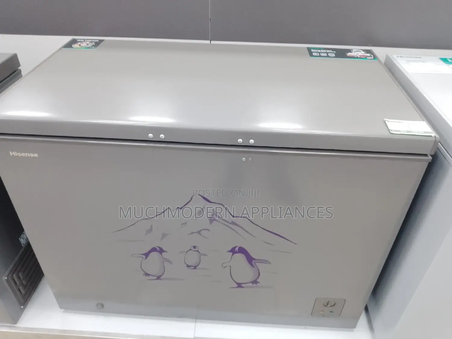 Ice Deep Freezer 400L