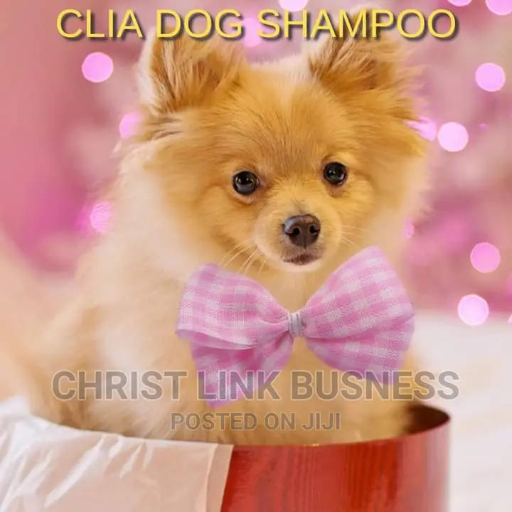 Medicated DOG Shampoo