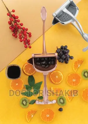 Stainless Steel Hand Pressure Fruit Lemon Juicer