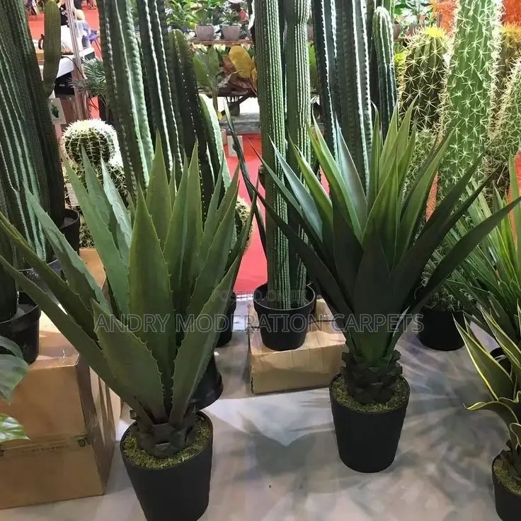 Artificial Flowers and Plants
