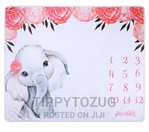 Monthly Photos Blanket