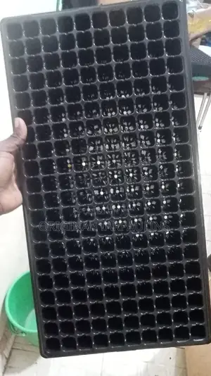 Seed Planting Trays