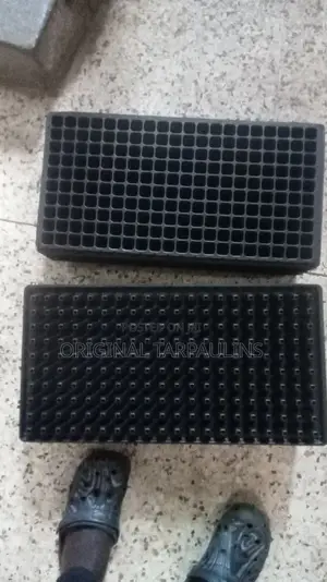 Seed Planting Trays
