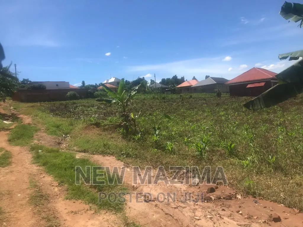 Very Beautiful Two Plots Quicksale in Heart of Nsangi Maya