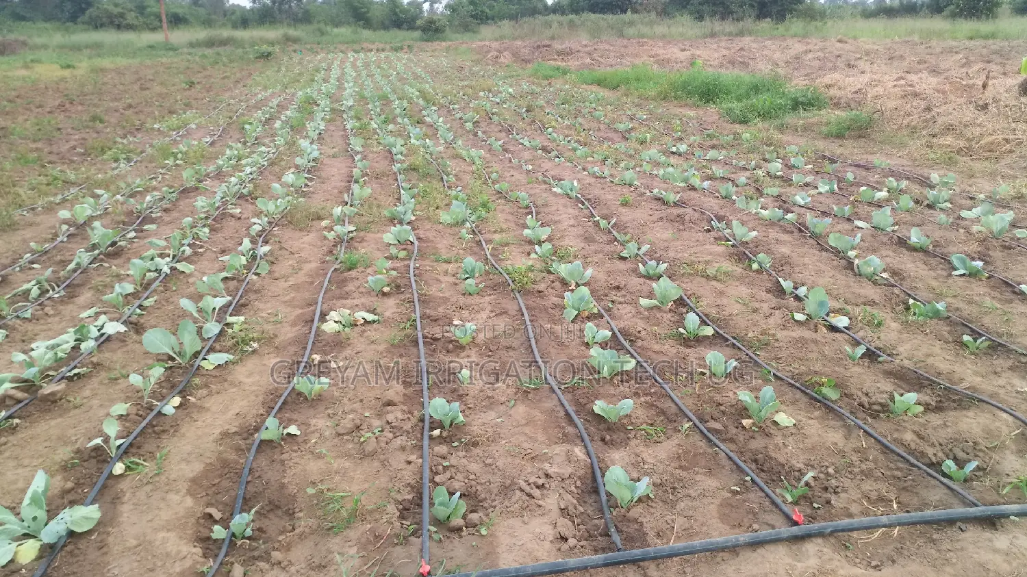 Drip Tape For Drip Irrigation Systems