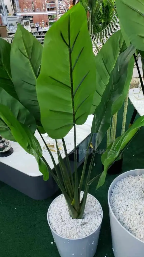 Artificial Flowers and Plants