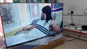 Lg 43 Digital Flat Screen Flameless