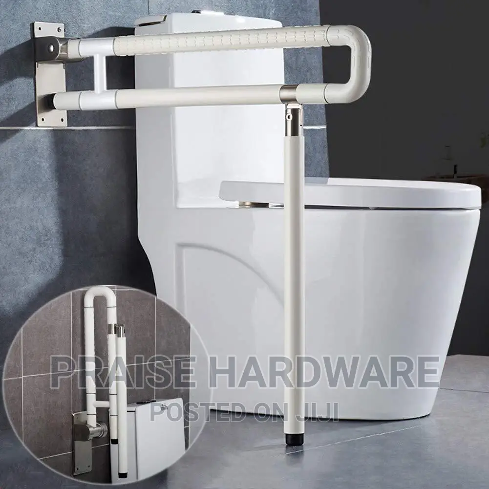 Double Hand Support While on Toilet