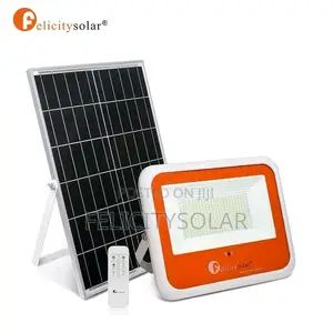 Solar Flood Light