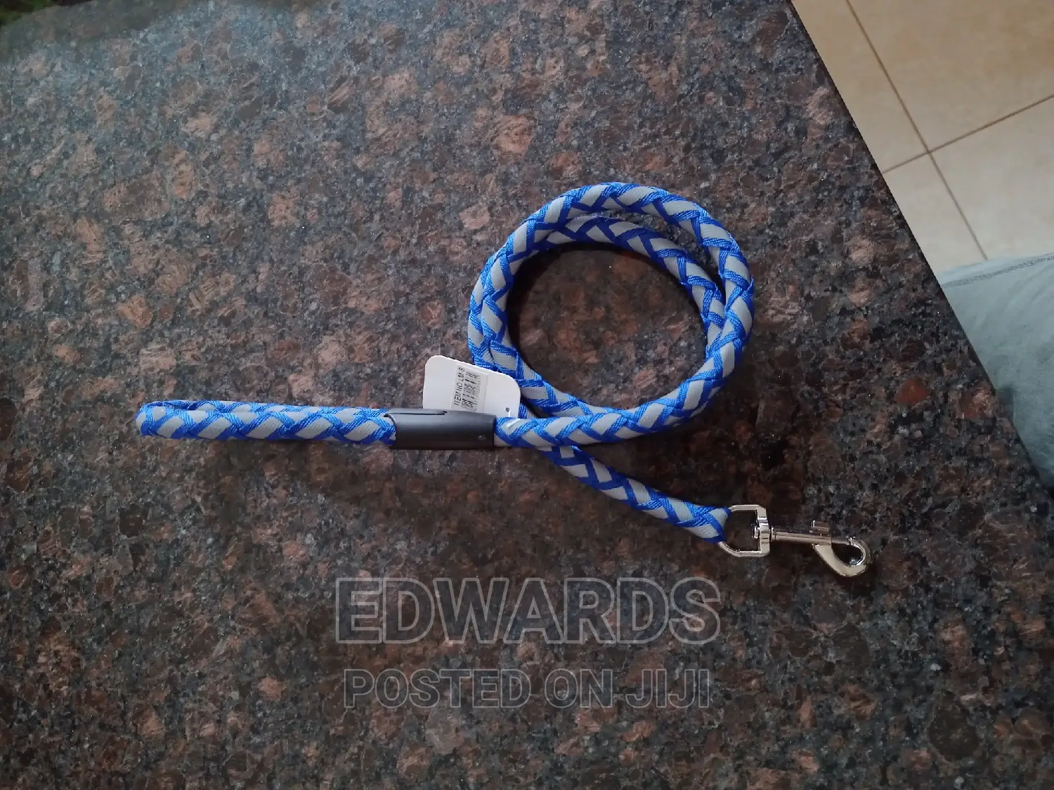 Dog Leash Blue