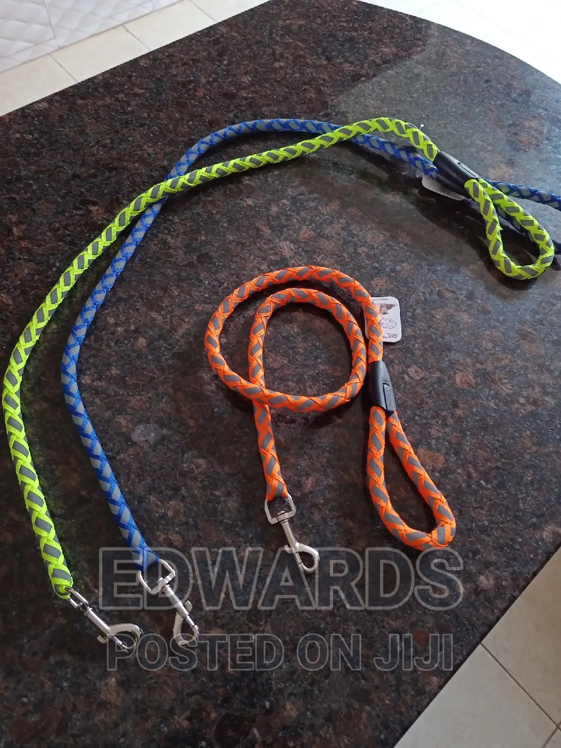 Dog Leash Orange